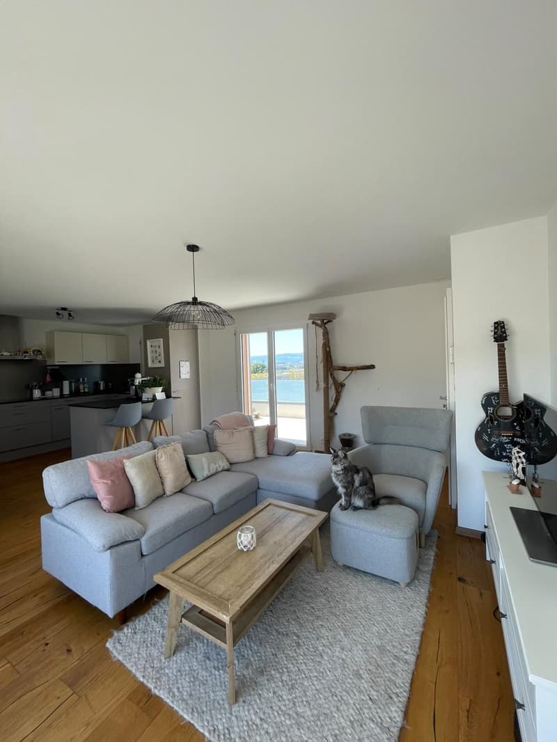 Magnificent spacious and bright apartment for rent in Avenches (2)