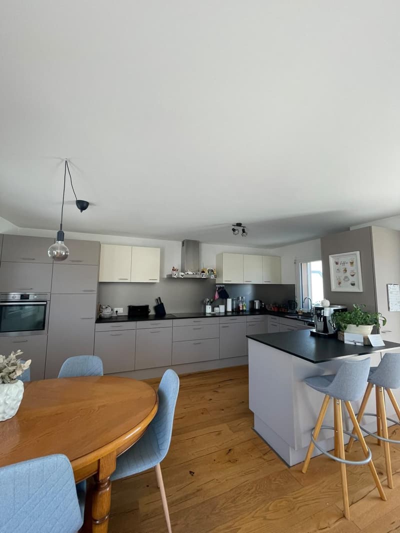 Magnificent spacious and bright apartment for rent in Avenches (5)