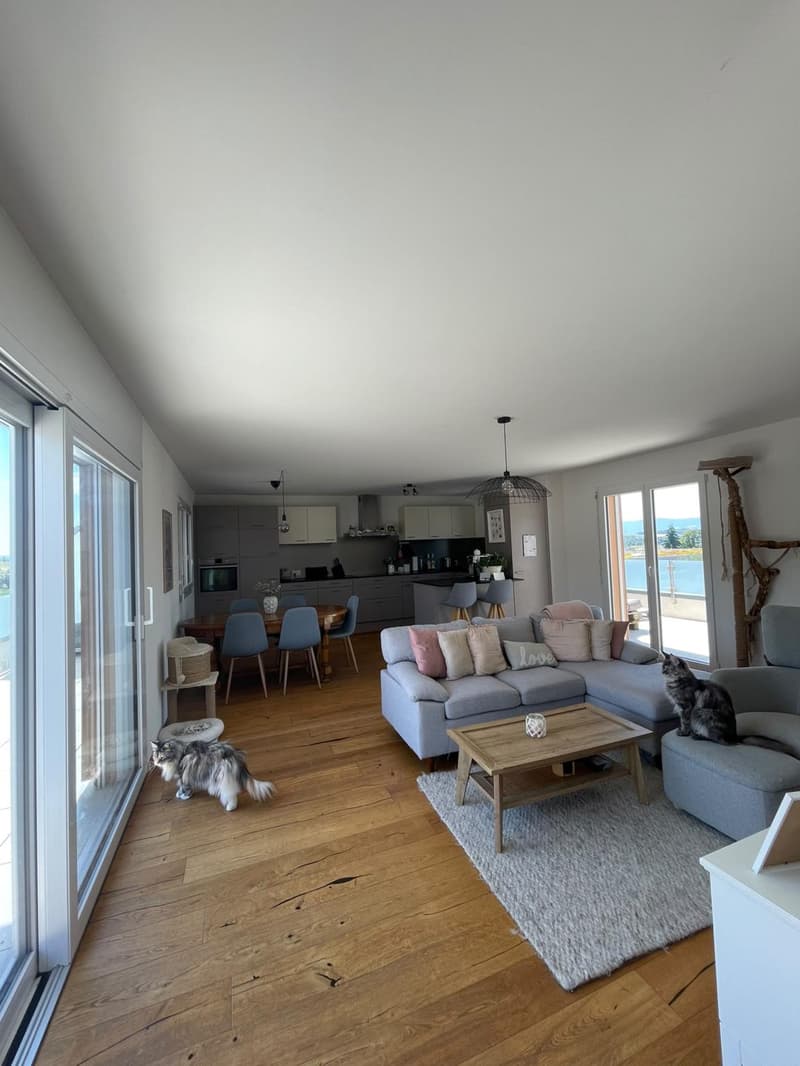 Magnificent spacious and bright apartment for rent in Avenches (4)