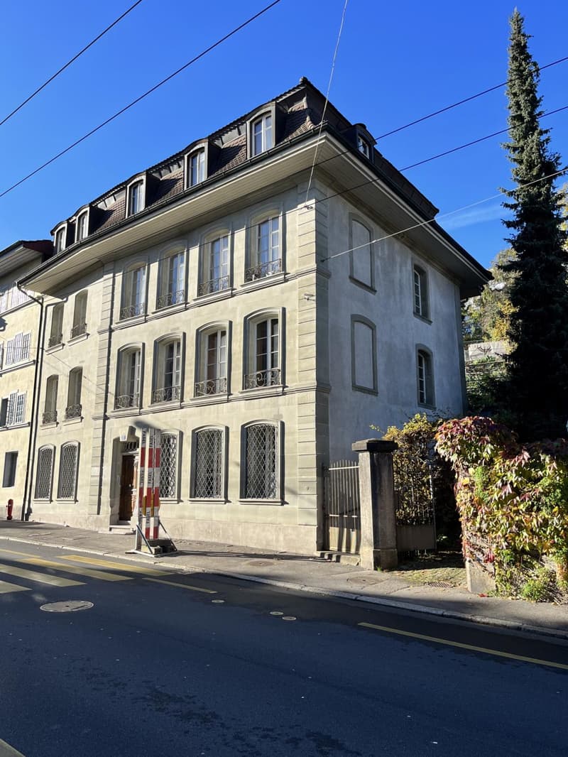 Charmant 2 pices au centre de Fribourg (5)