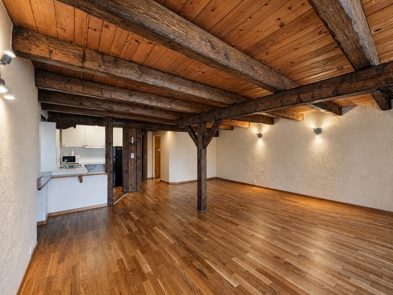 À louer ? Appartement 1 pièce de 42 m² ? Le Mont-sur-Lausanne (3)