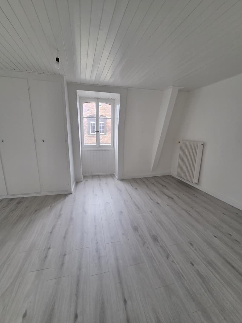 Appartement 1 pièce rénové à louer près de la cathédrale de Fribourg (3)