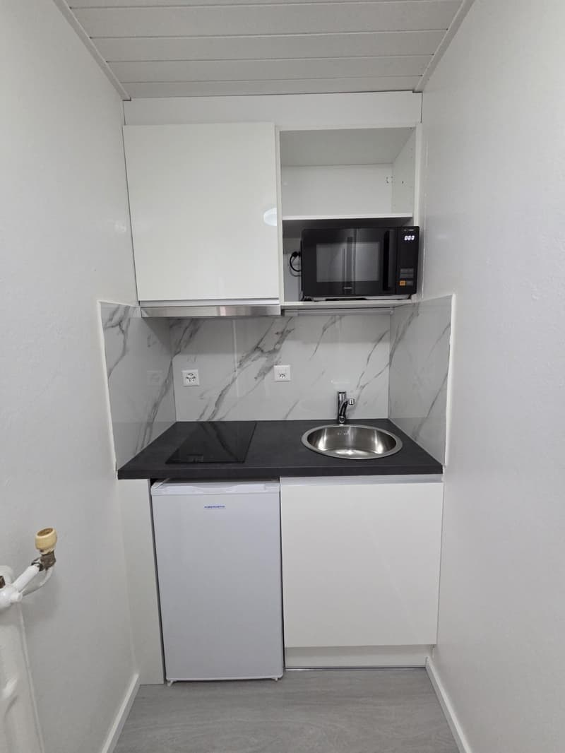 Appartement 1 pièce rénové à louer près de la cathédrale de Fribourg (2)