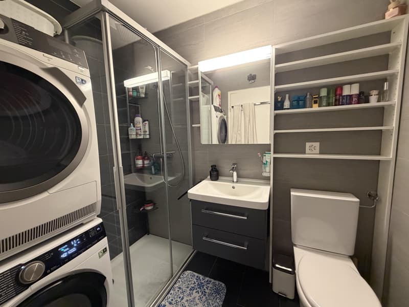 Appartement 3.5 pièces chaleureux entièrement rénové à Avenches (8)