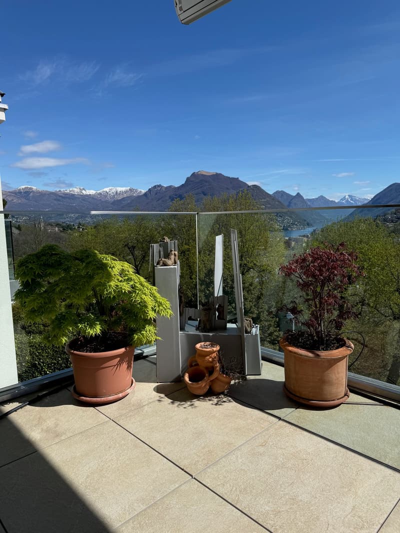 Montagnola, duplex con vista panoramica (1)