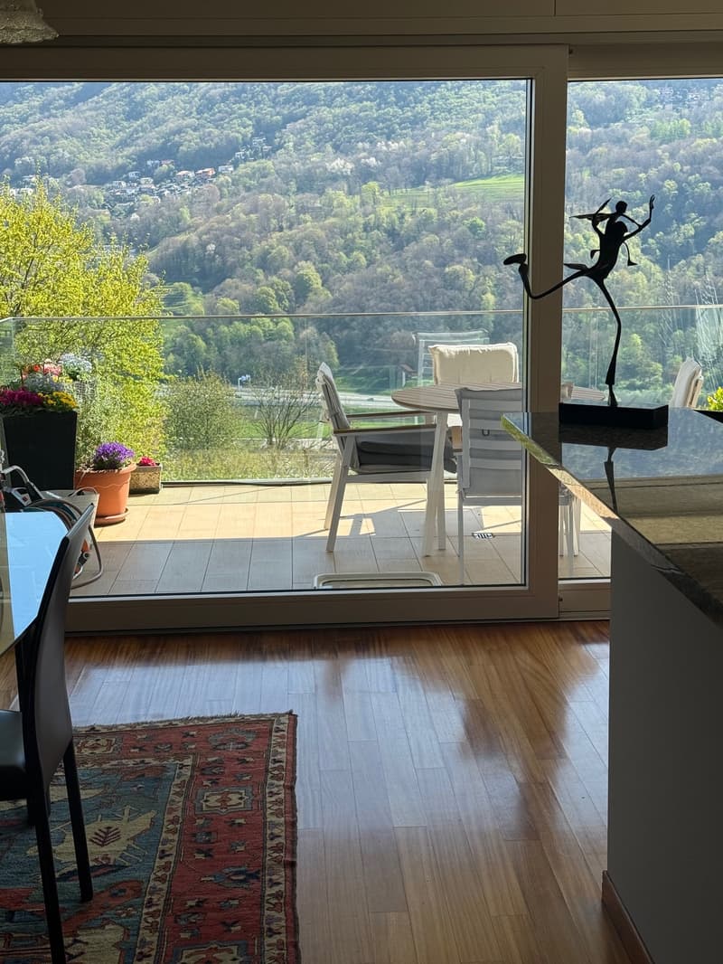 Montagnola, duplex con vista panoramica (2)