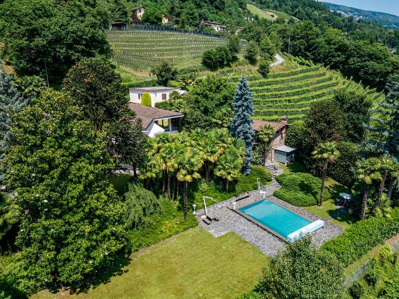 Splendida villa con piscina circondata da vigneti (3)