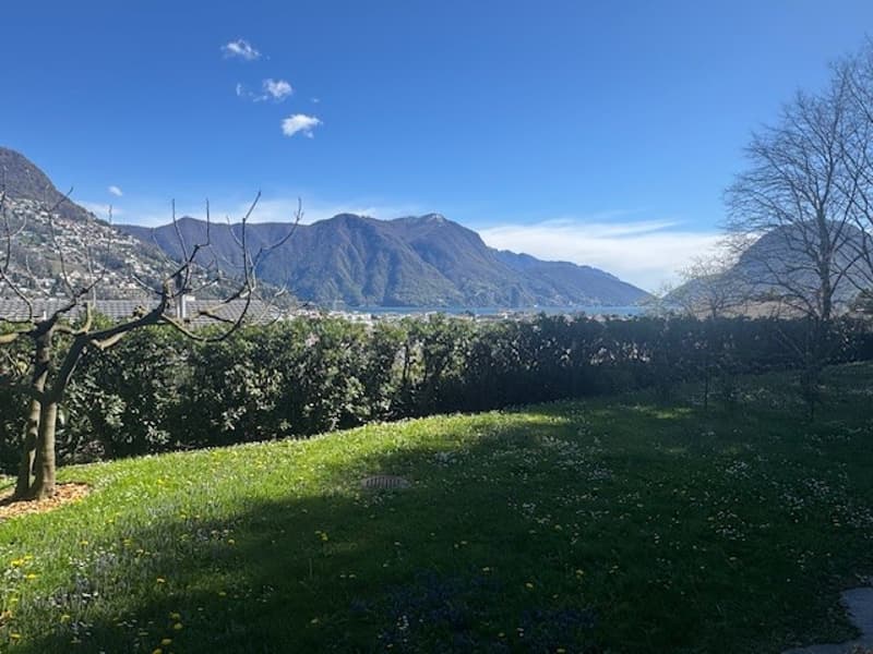 Grande appartamento su 4 liveli (1)