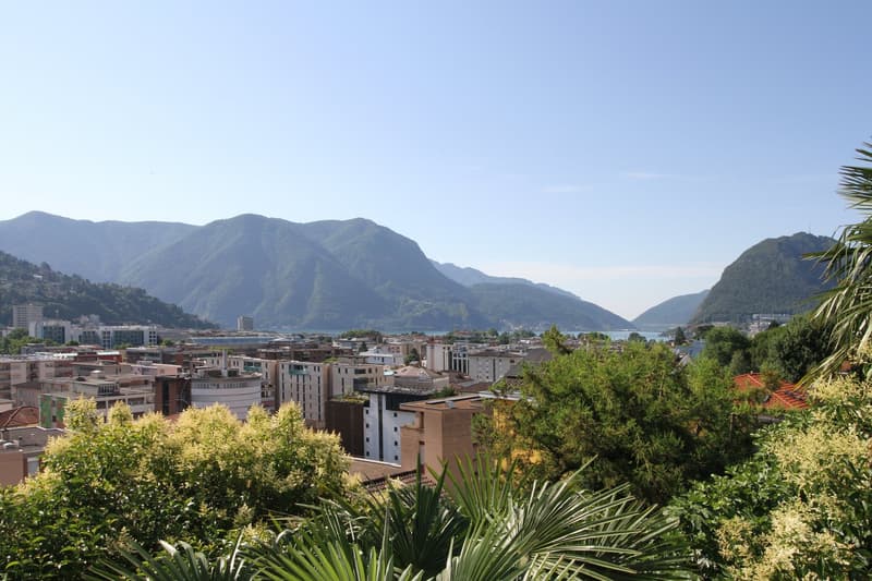 Centro Lugano con stile loft (6)