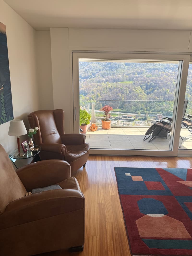Montagnola, 4 camere da letto duplex con vista panoramica (6)