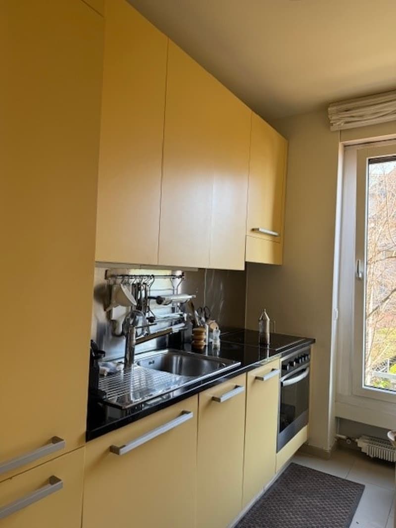 Centro Appartamento 3.5 locali con vista lago (8)