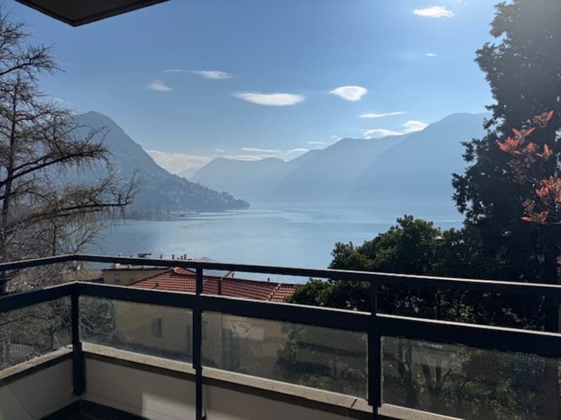 Centro Appartamento 3.5 locali con vista lago (2)