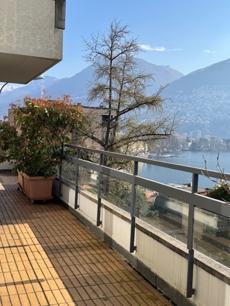 Centro Appartamento 3.5 locali con vista lago (5)