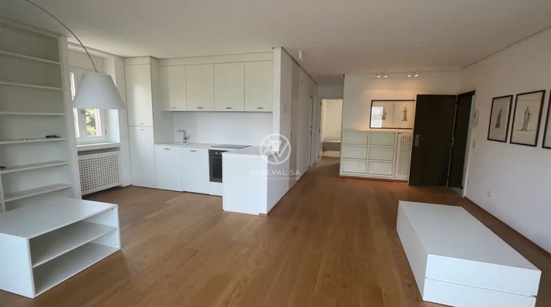 Splendido appartamento di 3,5 locali con vista mozzafiato a Paradiso (3)