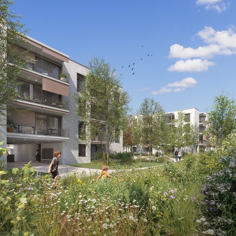 Modern 3.5-room new apartment in Rüfenacht BE – First occupancy March 2027 (1)