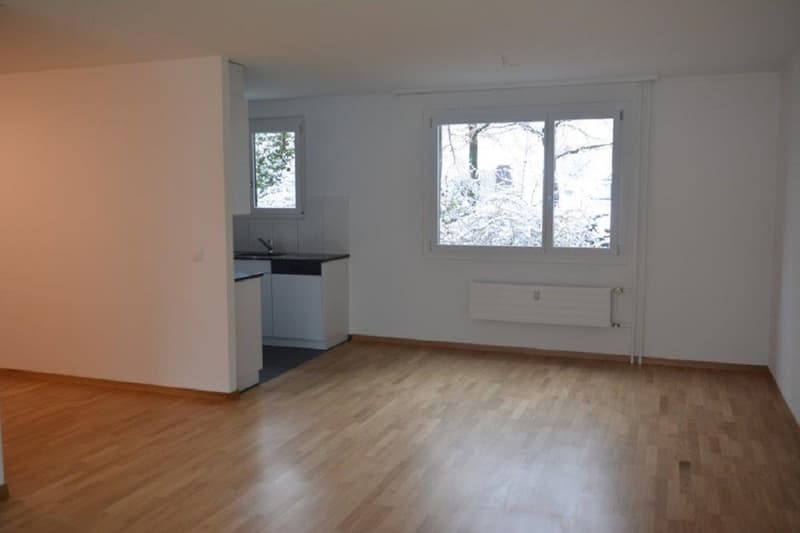 Renovierte 4-Zimmer Wohnung im Wittigkofen-Quartier (2)