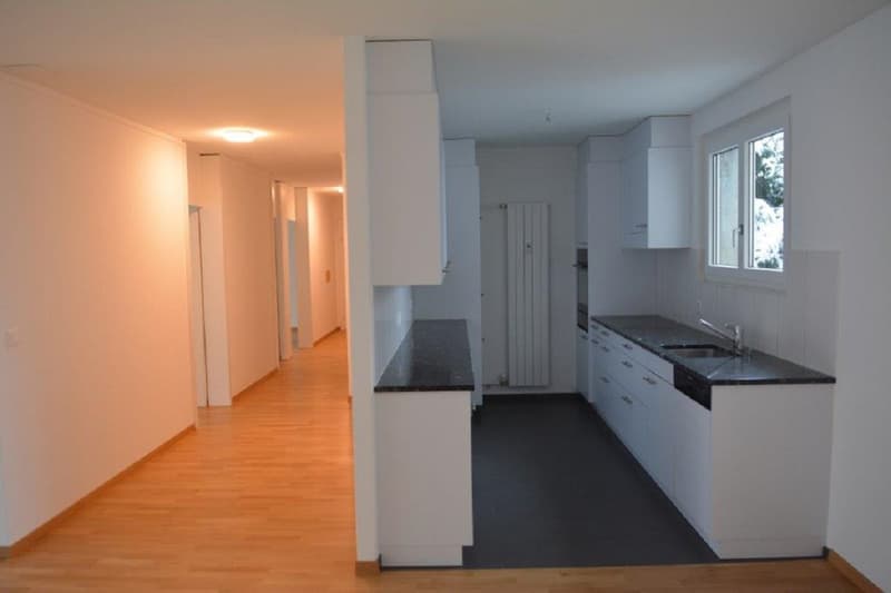 Renovierte 4-Zimmer Wohnung im Wittigkofen-Quartier (1)