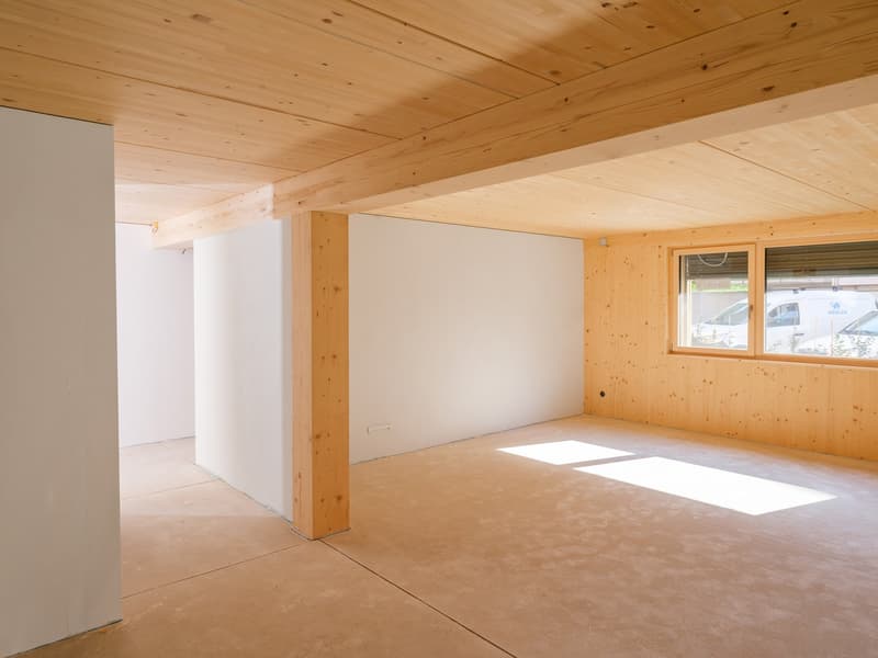 Newly built ground floor apartment with 150 m2 private play or flower lawn (4)