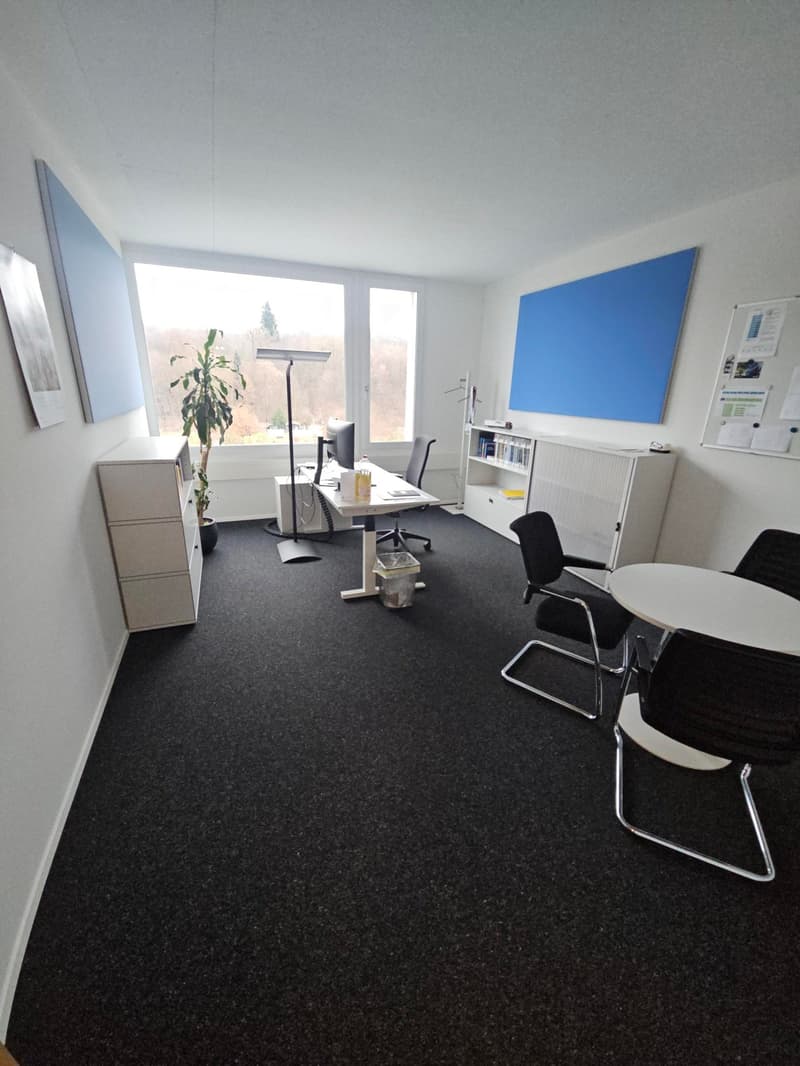 Spacious office with white walls, black carpet, white desk and chairs, blue office board, cabinet, shelves, potted plant, and office lamps