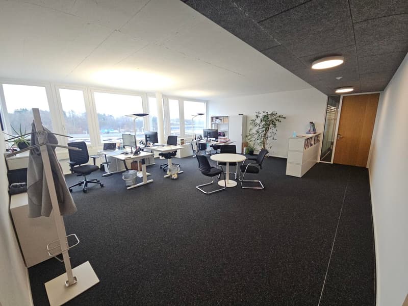 Spacious office with white walls, black carpet, tables, chairs, desks, plants, windows with view