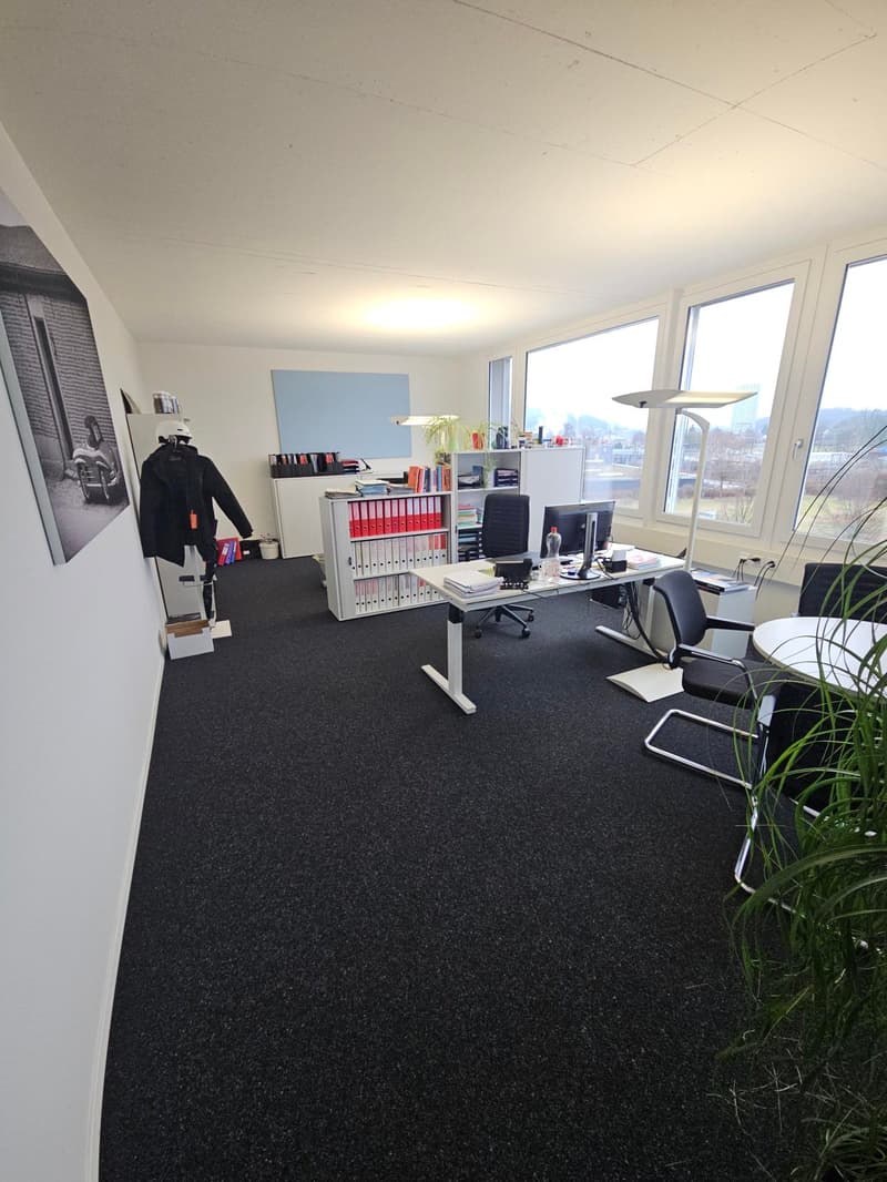 empty office room, carpet, large windows, desks, chairs, lamp, plant
