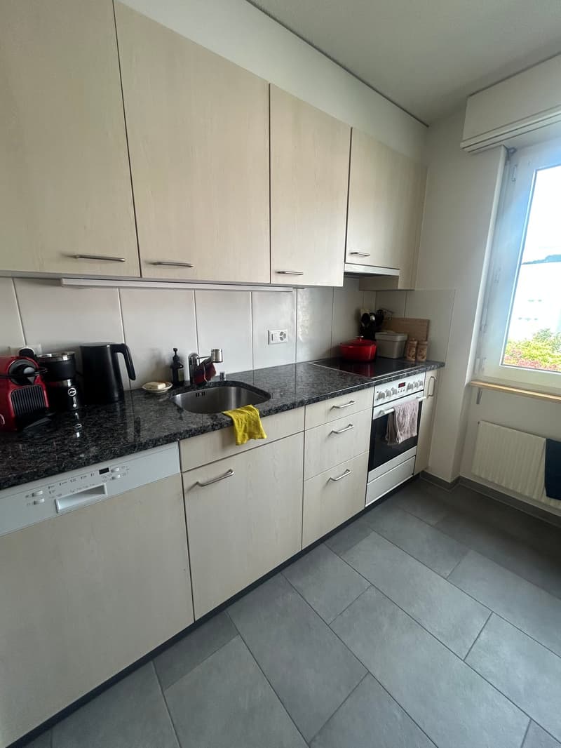 Helle 4.5-Zimmer-Wohnung in Thun (5)