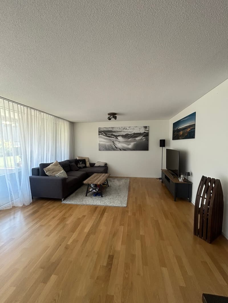 Appartamento moderno in una zona tranquilla a Interlaken (2)