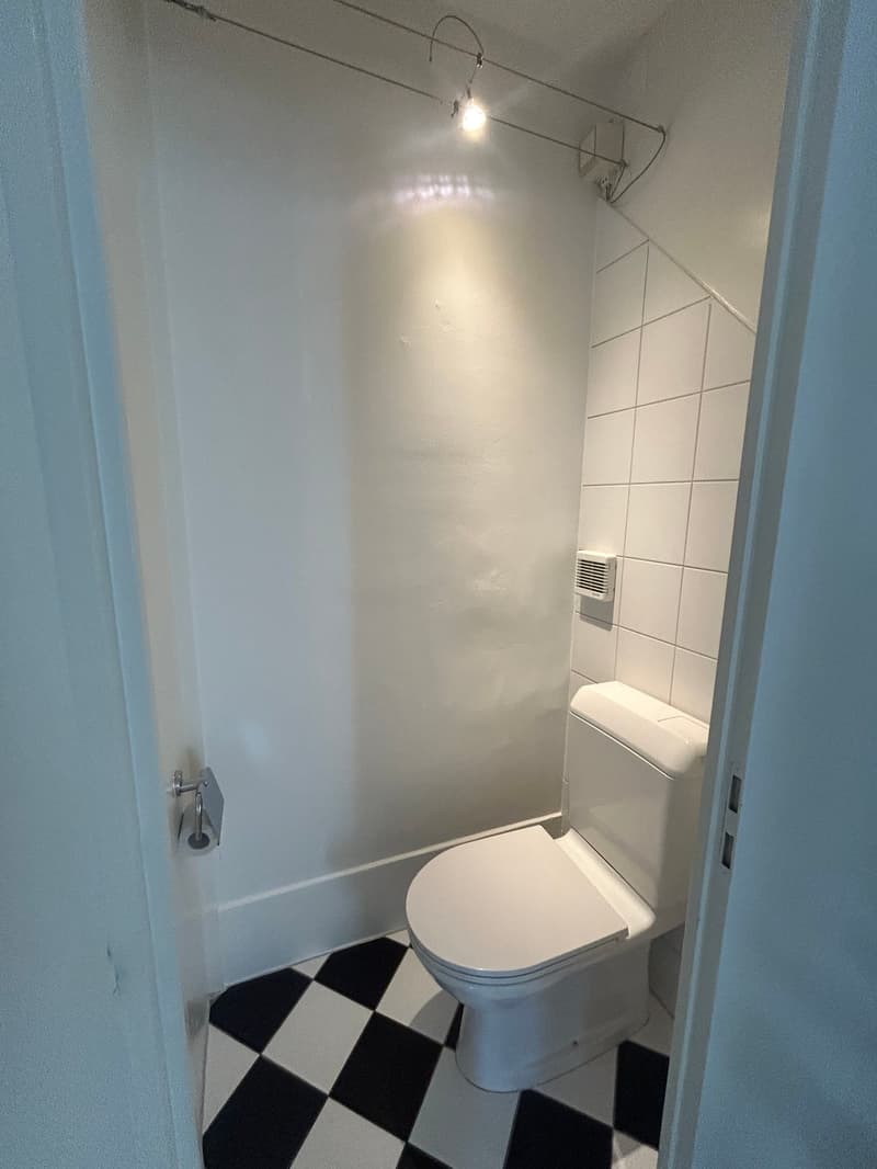 Spacious 5.5-room apartment in an attractive location (9)