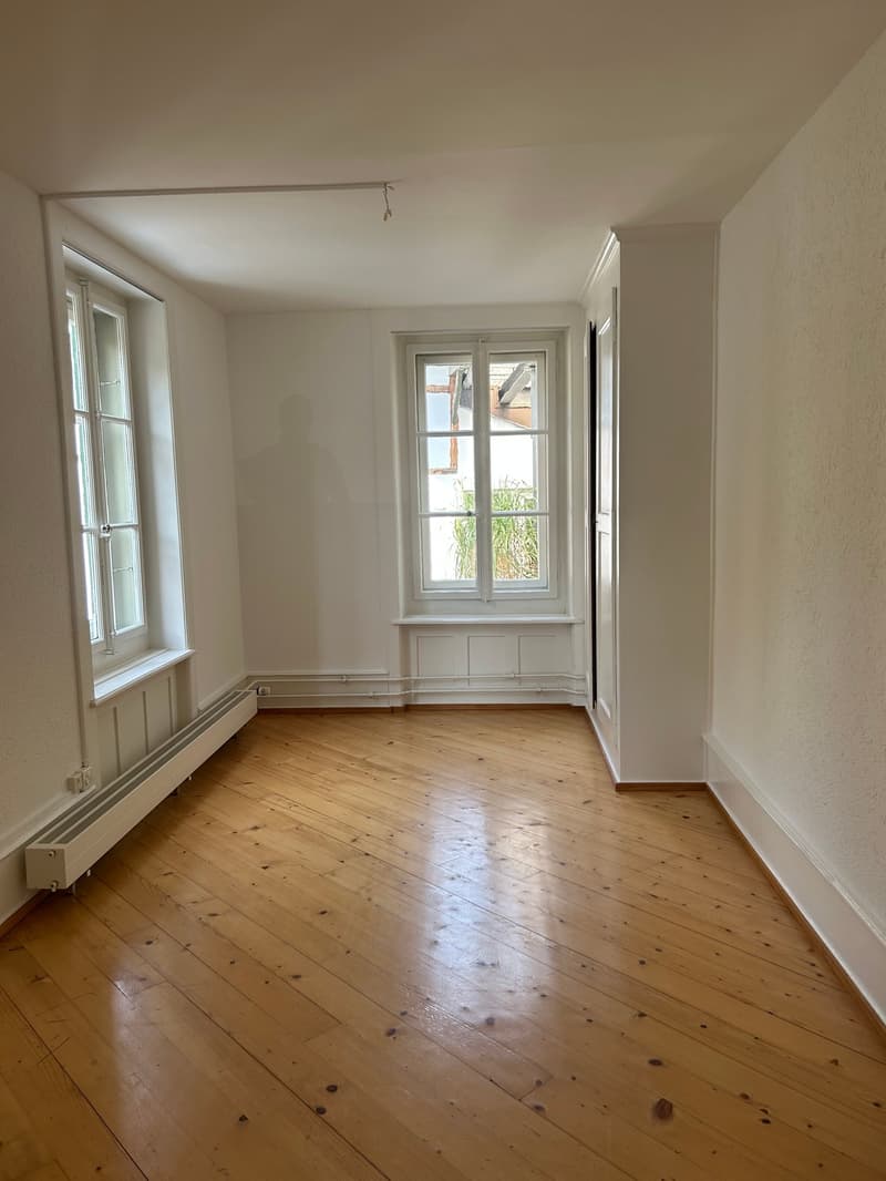Spacious 5.5-room apartment in an attractive location (7)