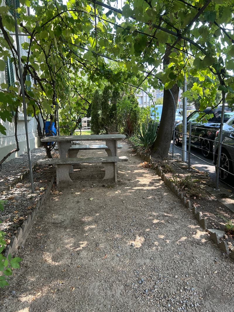 Spacious 5.5-room apartment in an attractive location (2)