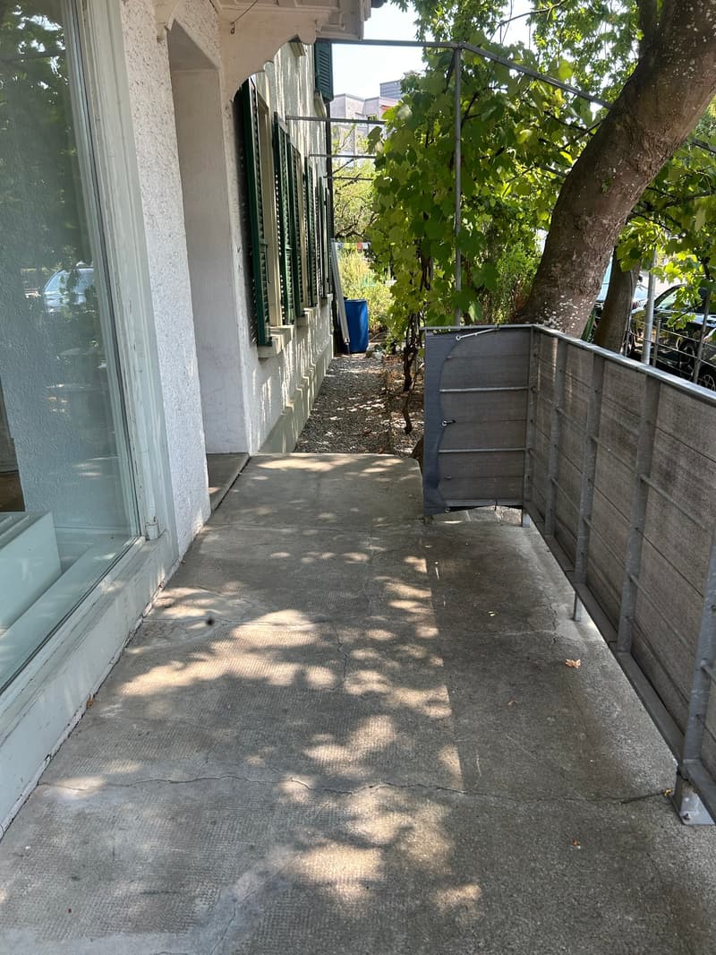 Spacious 5.5-room apartment in an attractive location (20)
