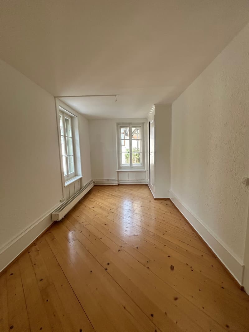 Spacious 5.5-room apartment in an attractive location (6)