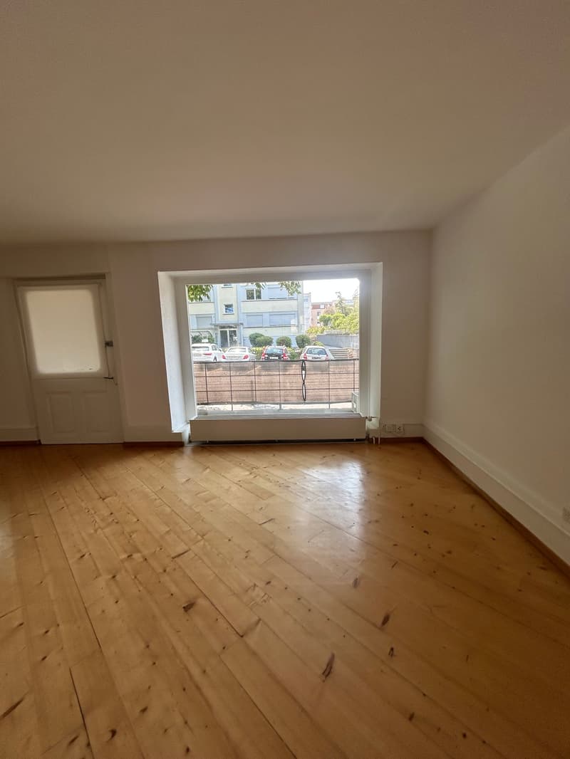 Spacious 5.5-room apartment in an attractive location (5)