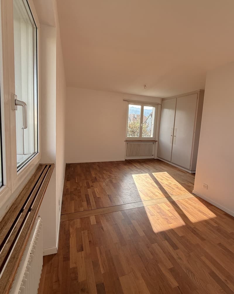 Stilvoll modernisiertes Doppeleinfamilienhaus mit hochwertigem Ausbau, Garten und viel Wohnqualität (20)