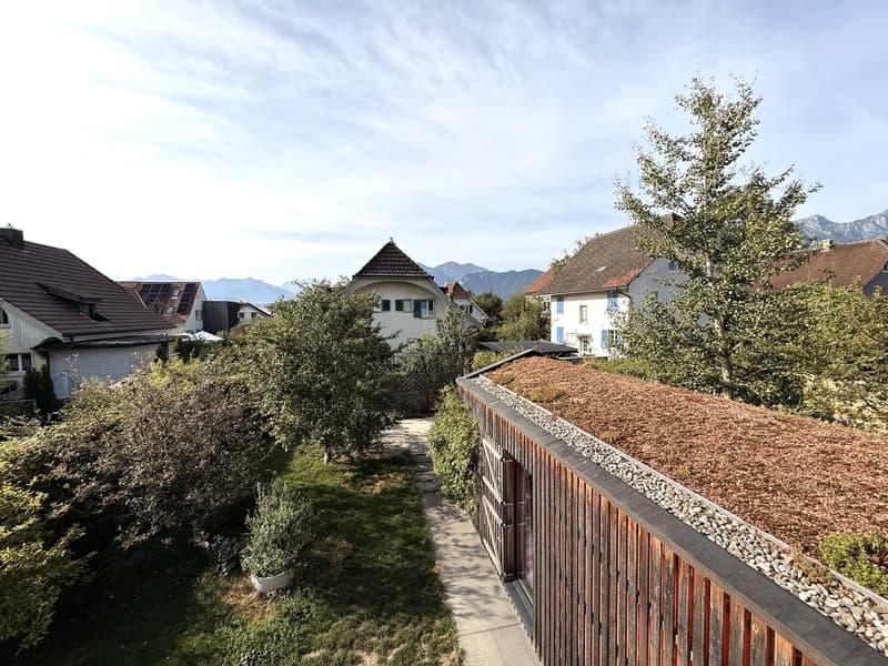 Stilvoll modernisiertes Doppeleinfamilienhaus mit hochwertigem Ausbau, Garten und viel Wohnqualität (6)