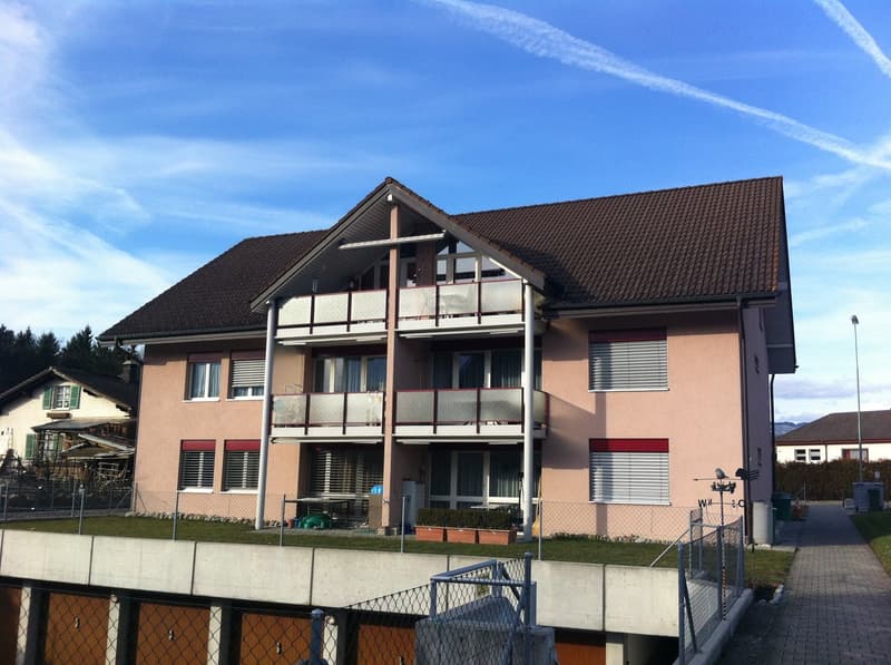 Charmante 3.5-Zimmer-Wohnung in Thun-Allmendingen (1)