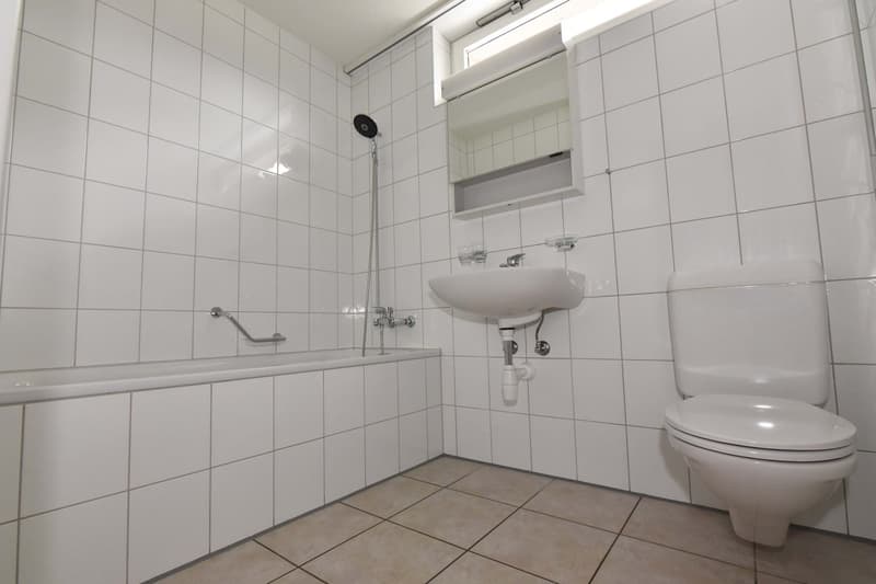 Charmante 3.5-Zimmer-Wohnung in Thun-Allmendingen (6)