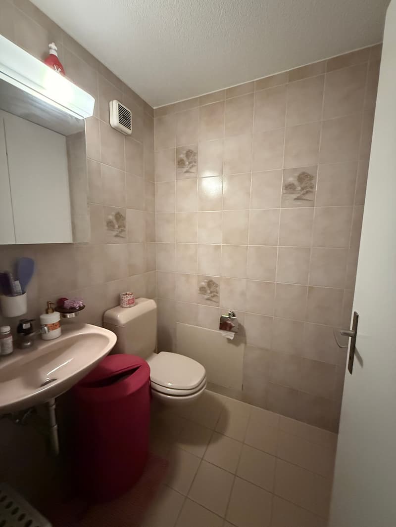 Charmante 3.5-Zimmer-Wohnung mit Balkon und schöner Aussicht in Thun (11)