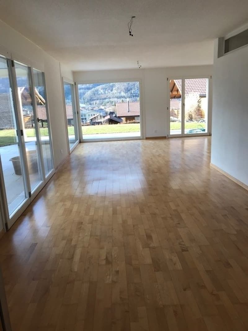 Charmante Wohnung an wunderschöner Lage am Brienzersee (7)