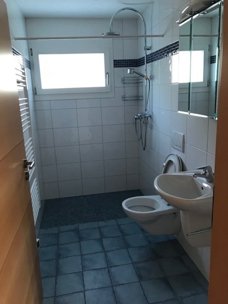 Charmante Wohnung an wunderschöner Lage am Brienzersee (9)
