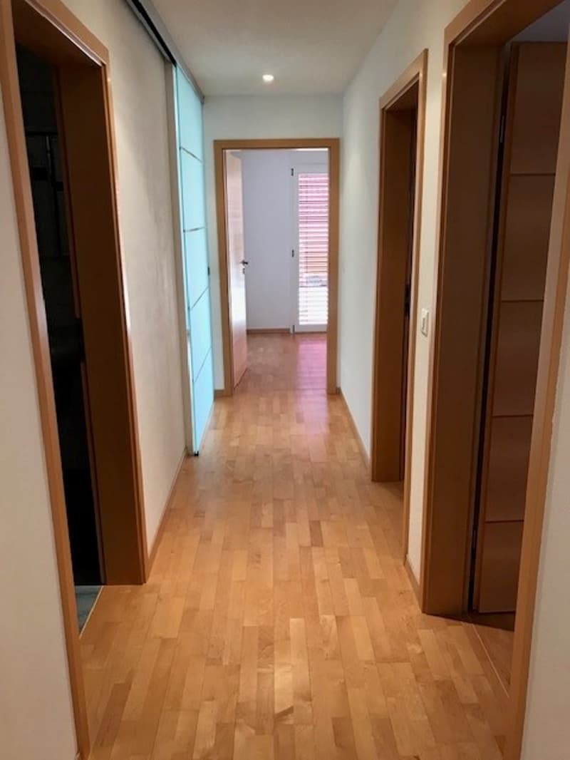 Charmante Wohnung an wunderschöner Lage am Brienzersee (11)