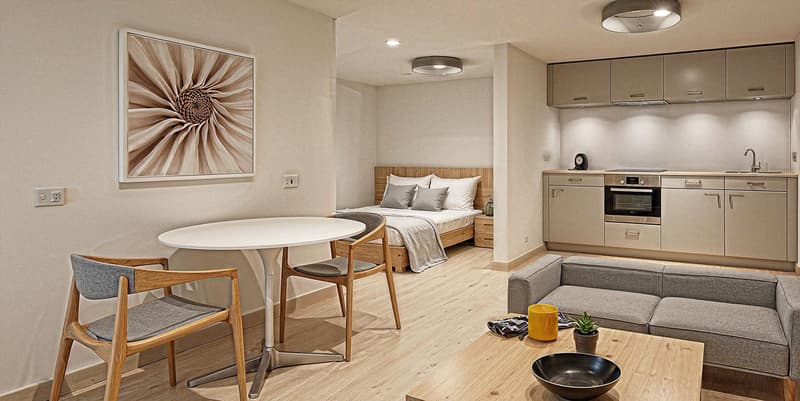 Opportunity: New Chalet and 1 Studio (6)