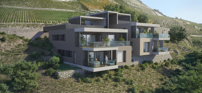 Bello appartamento di 4½ locali con ampio spazio esterno privato (4)