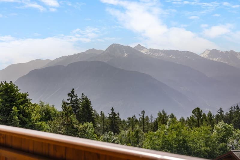 OFF-MARKET ? HIGH-STANDING APARTMENT for Swiss and foreign buyers (4)