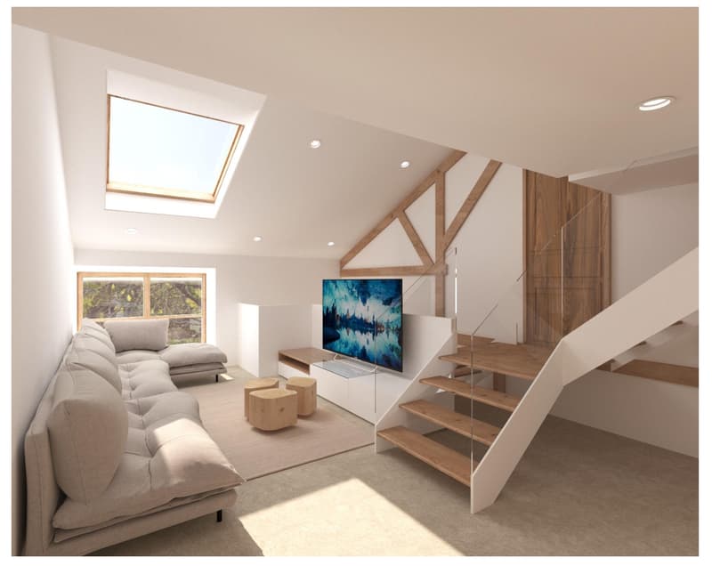 For sale? Barn to renovate with great potential, 15 minutes from Geneva (2)