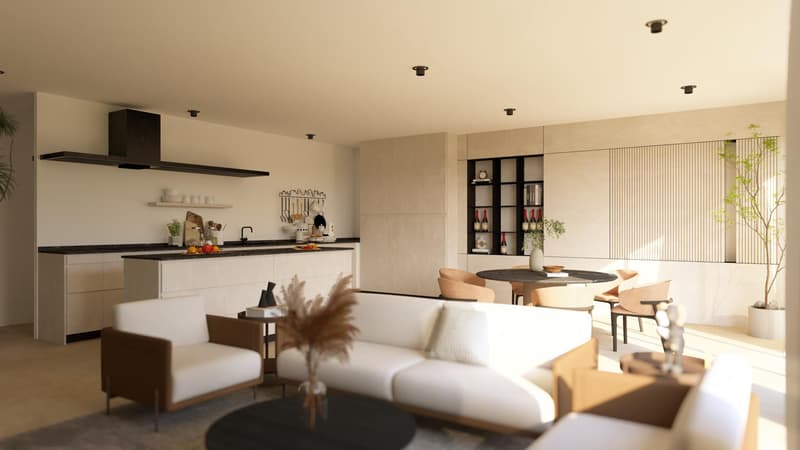 Villa jumelée neuve de 5.5 pièces avec jardin ? Chalais (9)