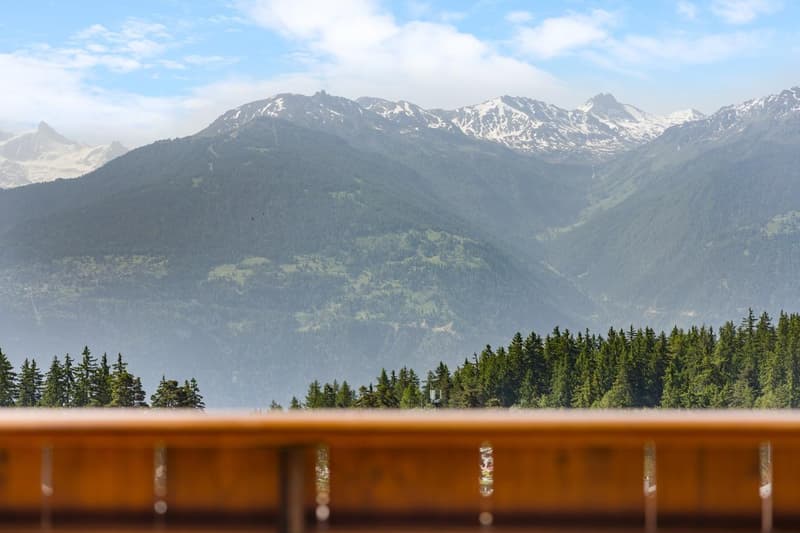 OFF-MARKET ? APPARTEMENT HAUT STANDING for Swiss and foreign buyers. (9)