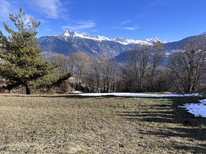 Dernier lot : Appartement 3,5 pièces en rez-de-jardin sud-ouest (2)