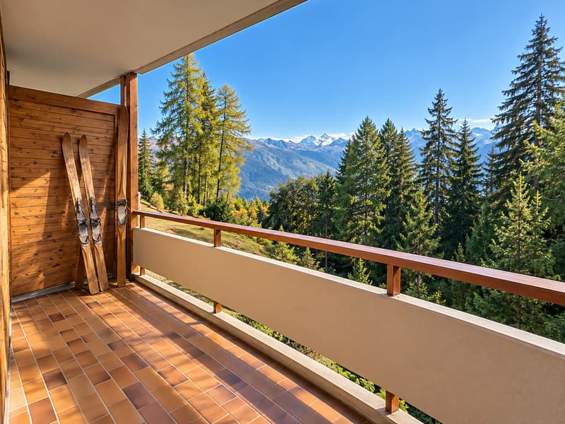 RARE 3.5 PIÈCES SKI-IN / SKI-OUT VIOLETTES AVEC VUE ALPINE PANORAMIQUE ? CRANS- MONTANA (2)