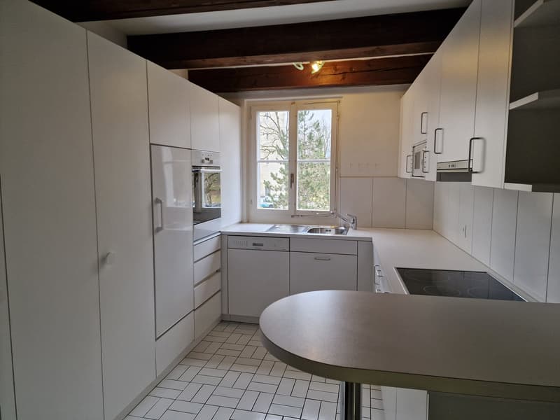 Charmante 3.5-Zimmer-Duplex-Wohnung im Herzen von Solothurn (13)